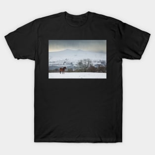 Pen y Fan and Corn Du from Mynydd Illtyd, Brecon Beacons National Park T-Shirt